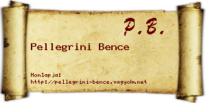 Pellegrini Bence névjegykártya